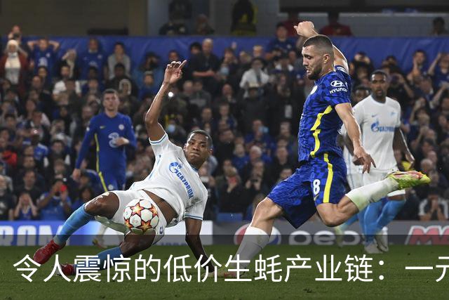 令人震惊的低价生蚝产业链：一元海鲜与回收壳